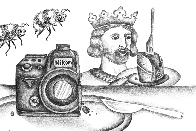 The bees loved cake and when they found out the king was actually eating cake, even though it looked like a Nikon camera, they went mad.